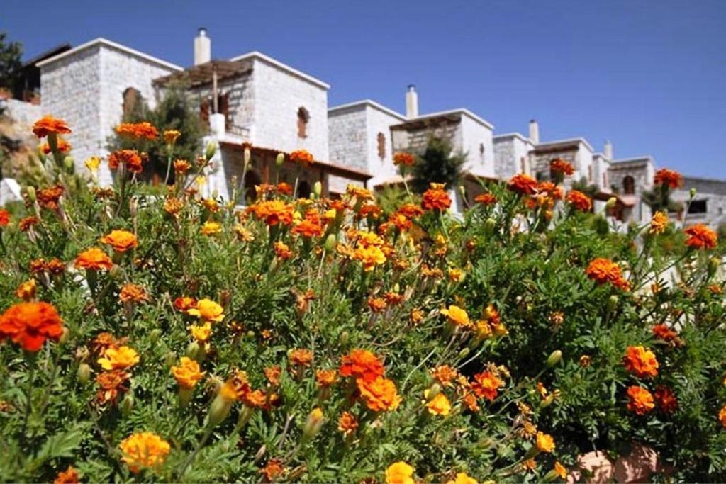 Lefkoritis Resort Askifou Sfakia Petres  Экстерьер фото