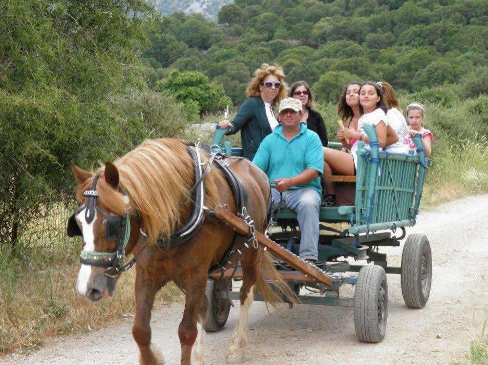 Lefkoritis Resort Askifou Sfakia Petres  Экстерьер фото